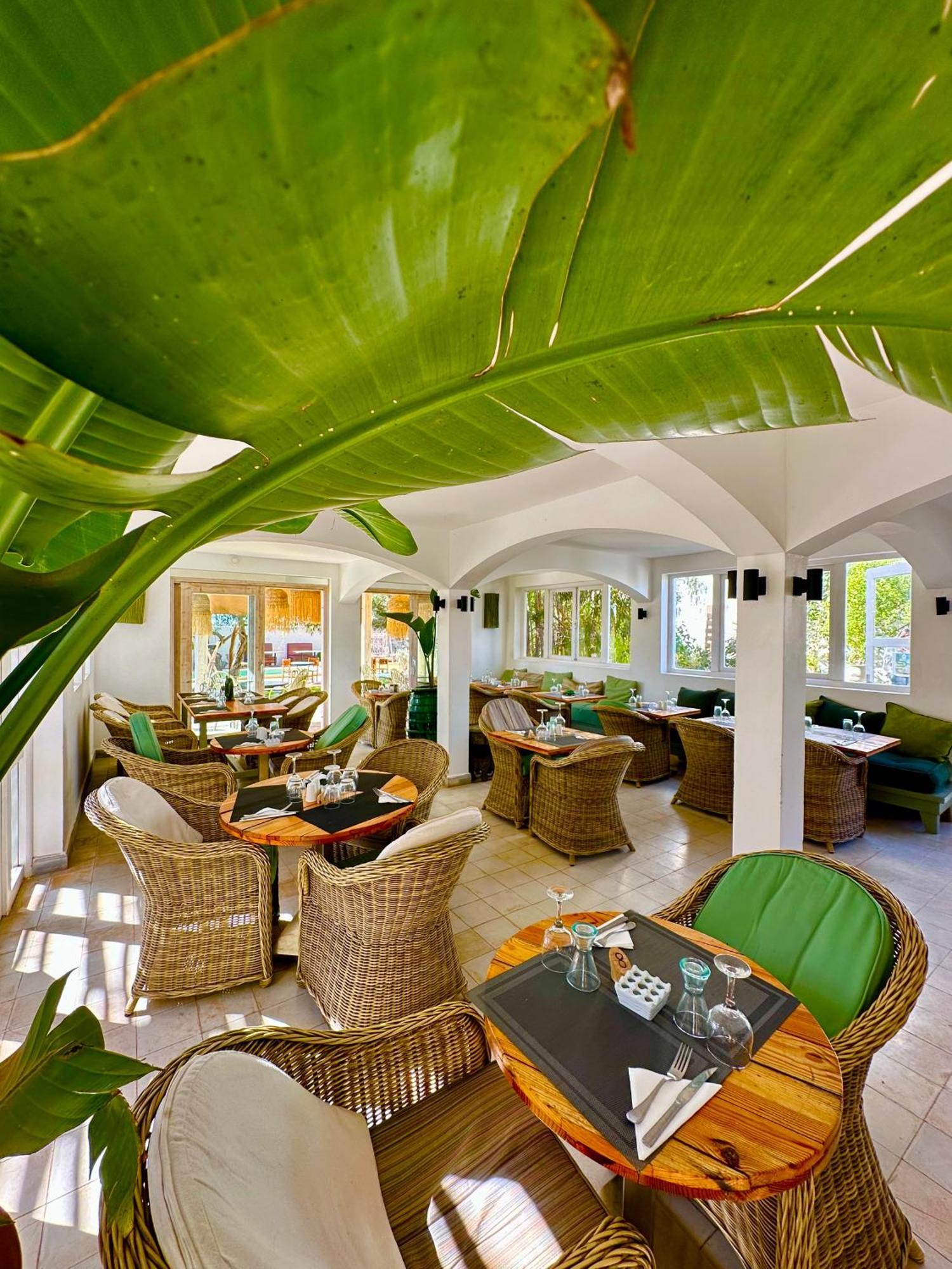 Villa Nour เอสเซาอิรา ภายนอก รูปภาพ